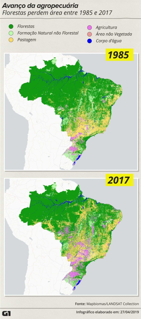 imagem6