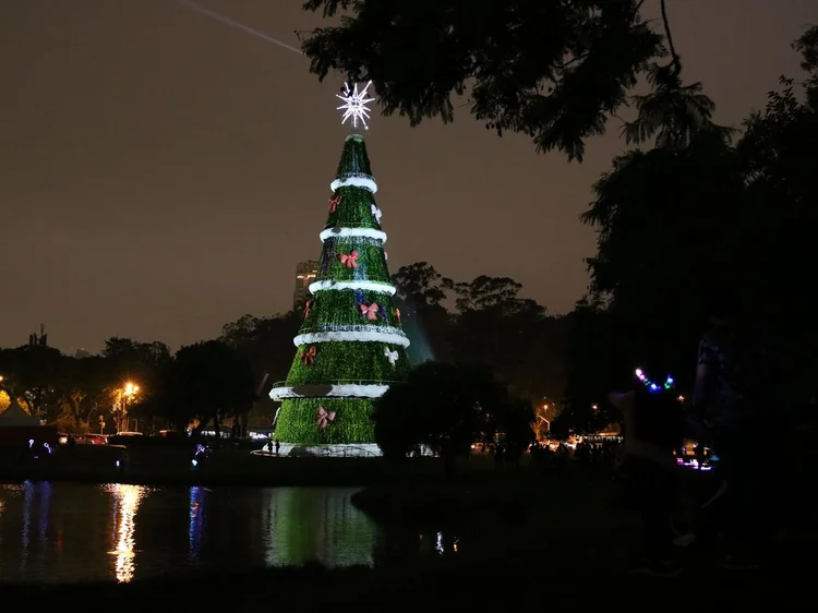 Natal no Parque Ibirapuera: Principal parque da cidade conta com a clássica árvore de Natal (Rovena Rosa/Agência Brasil)