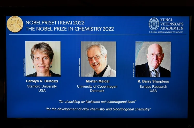O Nobel de Química foi atribuído a Carolyn Bertozzi (EUA), Morten Meldal (Dinamarca) e Barry Sharpless (EUA) (AFP/AFP Photo)