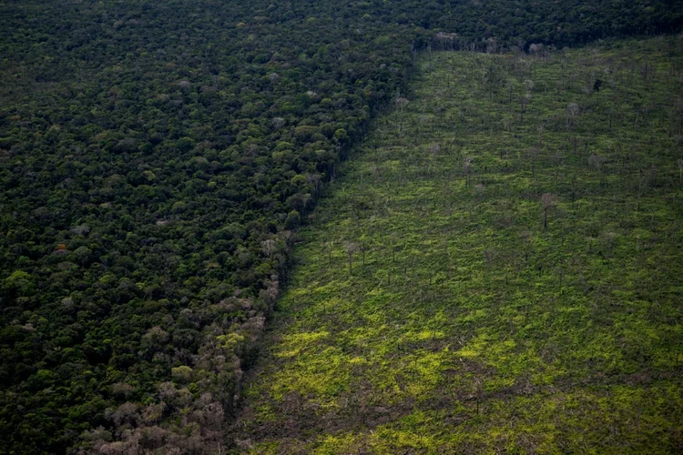 As empresas notificadas têm três meses para cumprir as obrigações e, eventualmente, estabelecer um diálogo com as ONGs (Agence France-Presse/AFP Photo)