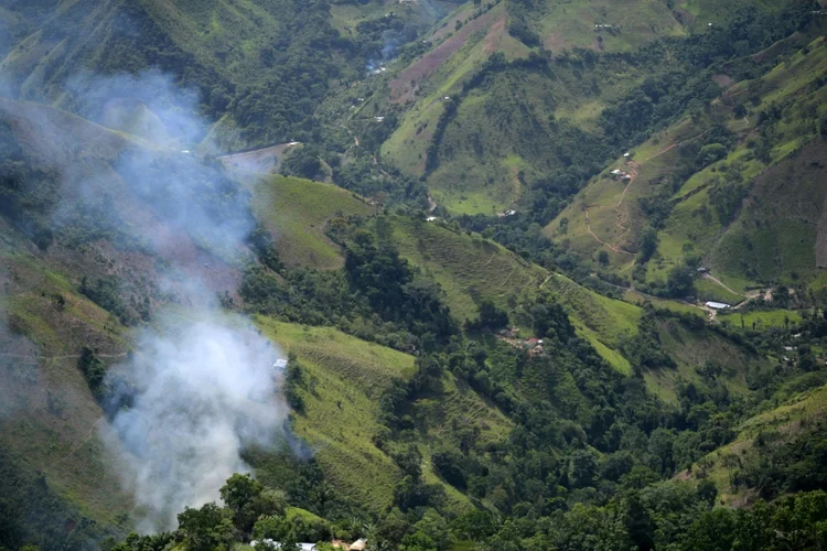Plantações de coca em Catatumbo, na Colômbia, em imagem de 18 de agosto de 2022 (AFP/AFP Photo)