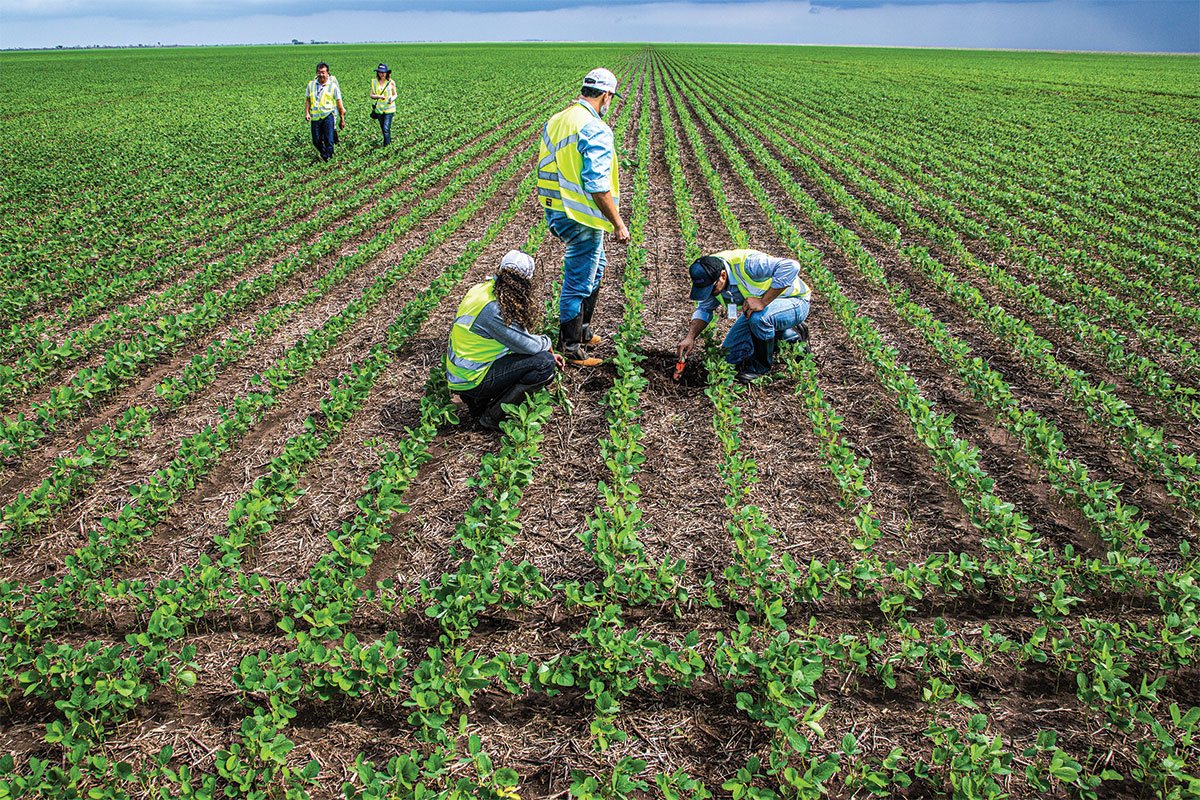 Carreiras quentes: veja as profissões que devem liderar as contratações em 2025