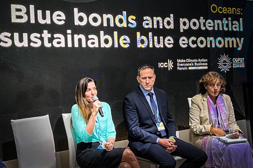 COP27: com ‘blue bond’, BRK Ambiental garante acesso à água para 1,5 milhão de pessoas