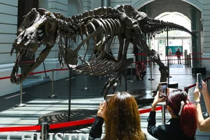 Onde estão os dinossauros mais velhos do mundo? Brasil pode ter abrigado algumas espécies