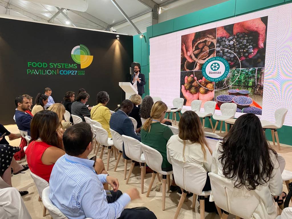 COP27: projeto propõe produção de alimentos plant-based a partir de espécies nativas da Amazônia