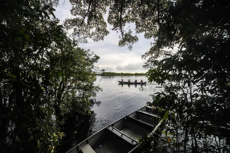 Diálogos Amazônicos e Cúpula da Amazônia ocorrem em Belém, no Pará (Leandro Fonseca/Exame)