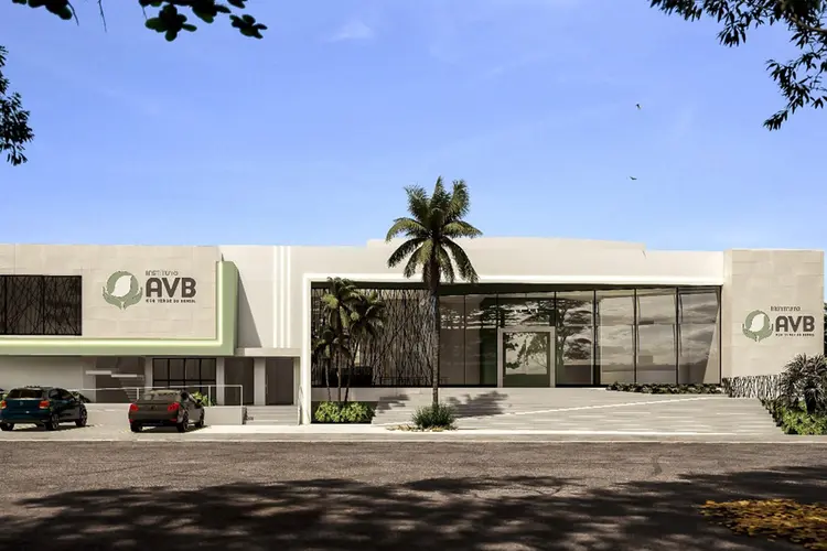 O Instituto AVB tem o objetivo de promover a igualdade social e econômica nas regiões onde a empresa atua, como os estados do Maranhão, Piauí e Minas Gerais (AVB/Divulgação)