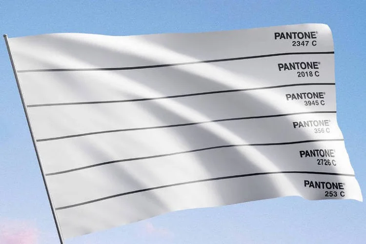 Bandeira criada pela Pantone. (Instagram/Reprodução)