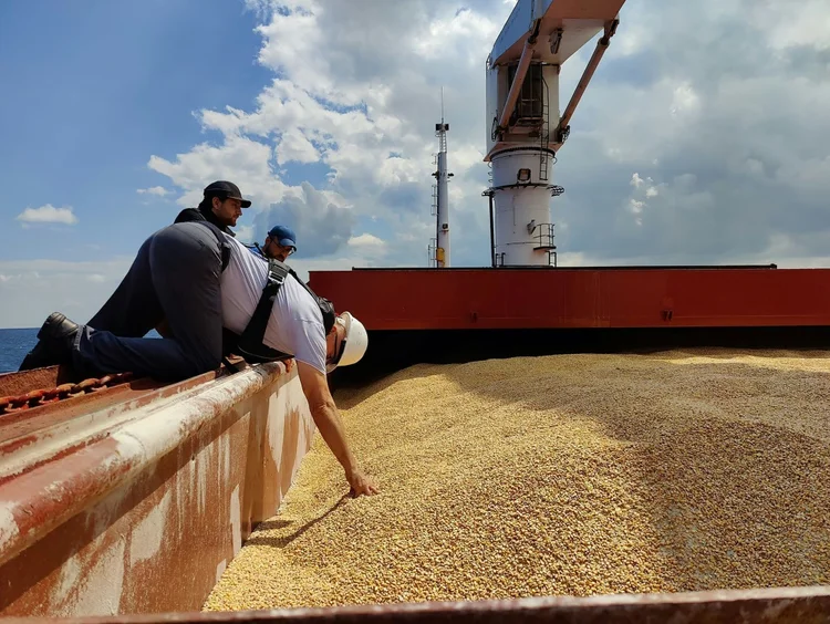 "Qualquer decisão do Kremlin de interromper esta iniciativa é essencialmente uma declaração de que, para Moscou, não importa" a alimentação das populações nas nações em desenvolvimento (AFP/Reprodução)