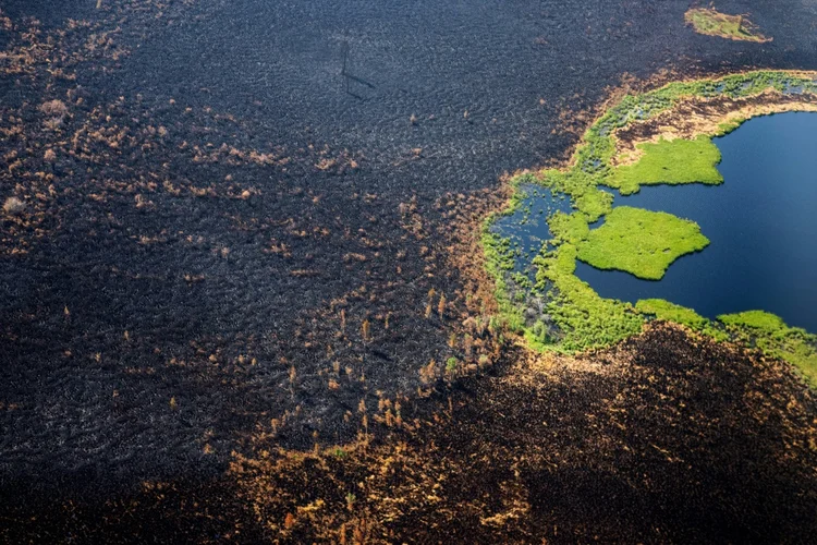 Esses incêndios recentes despejaram cerca de 150 milhões de toneladas de gás carbônico na atmosfera, estimam os cientistas (AFP/AFP)
