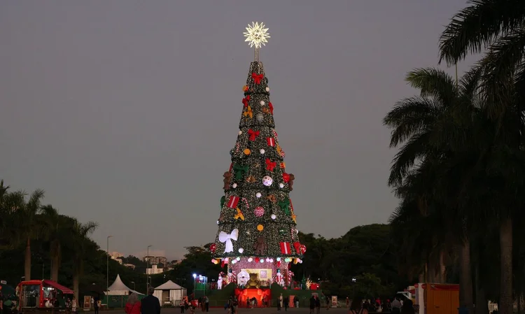 Esse é último fim de semana da Árvore de Natal paulistana (Rovena Rosa/Agência Brasil)