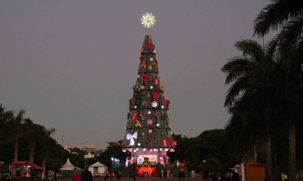 Esse é último fim de semana da Árvore de Natal paulistana (Rovena Rosa/Agência Brasil)