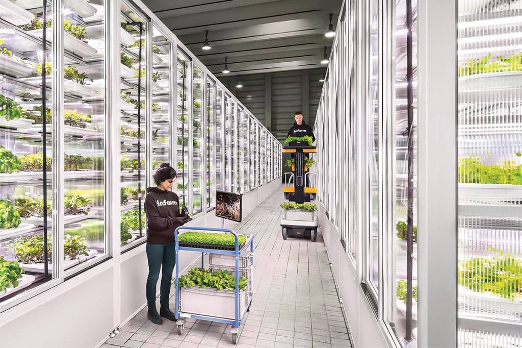 Infarm: cultivo vertical indoor, com frutas, vegetais e verduras selecionados e modificados geneticamente para florescer em ambiente controlado (Divulgação/Divulgação)