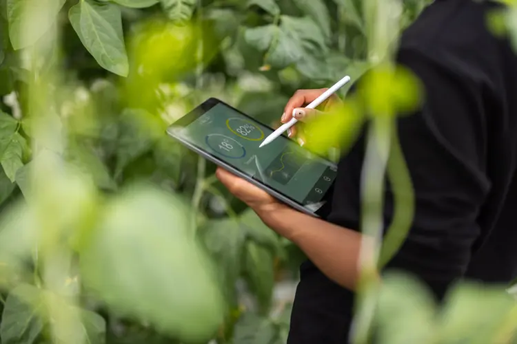 Cropped shot of a woman agronomist using digital tablet for analysis of plantation. Woman updating plants growth on digital tablet app in garden center. (Luis Alvarez/Getty Images)