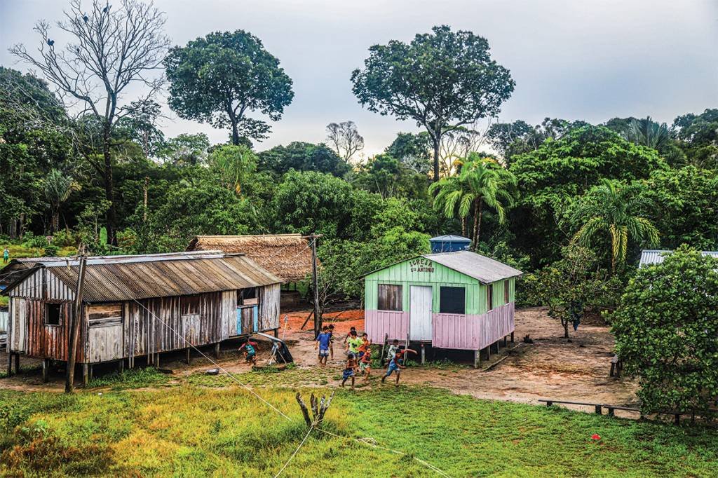 Amazônia em 2023: Lula conseguirá reduzir o índice de desmatamento?