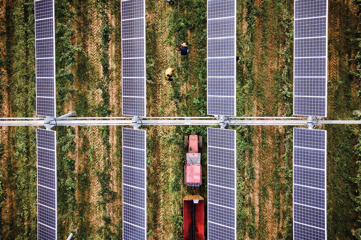 Como os países tem trabalhado tecnologias verdes