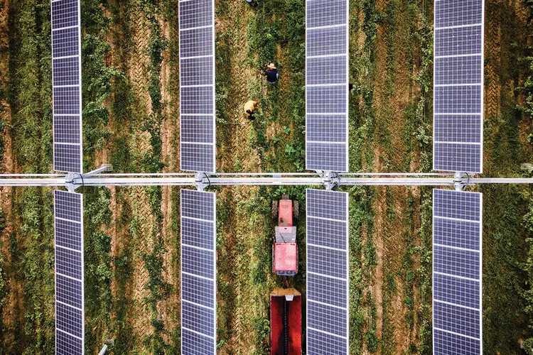Energia solar na agricultura: setor depende da troca de matrizes para ser mais sustentável (Lionel Bonaventure/AFP/Getty Images)