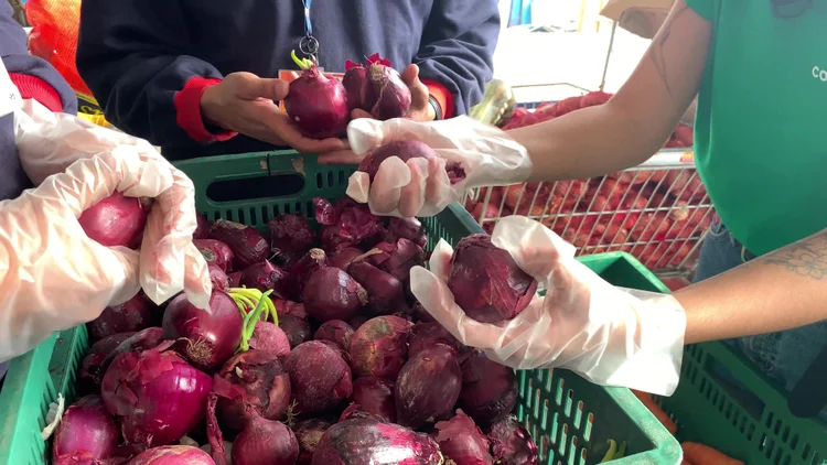 A Connecting Food deve ter quase 40% de aumento de faturamento em relação à 2021 (Connecting Food/Divulgação)