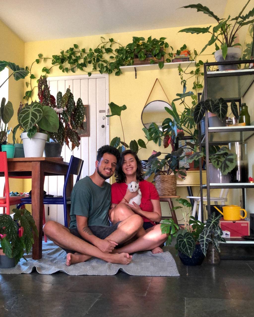 Urban Jungle: Vivendo com Plantinhas Dentro de Casa