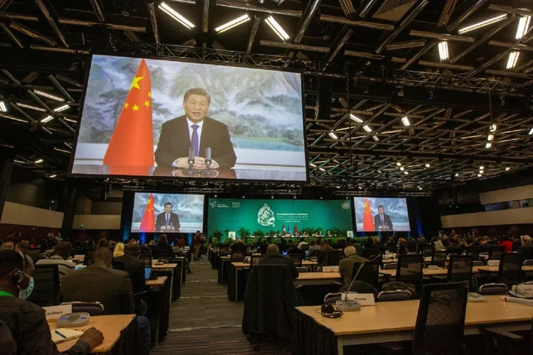 COP15: O presidente da China, Xi Jinping, aparece em vídeo na abertura das negociações ministeriaiS (AFP/AFP)