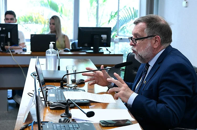 O senador Flávio Arns (Podemos-PR) presidiu os trabalhos da subcomissão e a senadora Zenaide Maia (Pros-RN) respondeu pela vice-presidência (Geraldo Magela/Agência Senado)