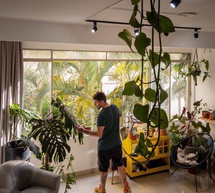 Plantas: estilo urban jungle vira tendência na decoração - Harper's Bazaar  » Moda, beleza e estilo de vida em um só site