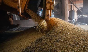 Imagem referente à matéria: CNA contesta investigação dos EUA e defende práticas do agronegócio brasileiro