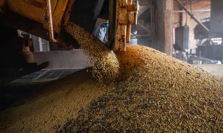 Colheita de soja, soja, grãos (CNA/Wenderson Araujo/Trilux/Agência Brasil)