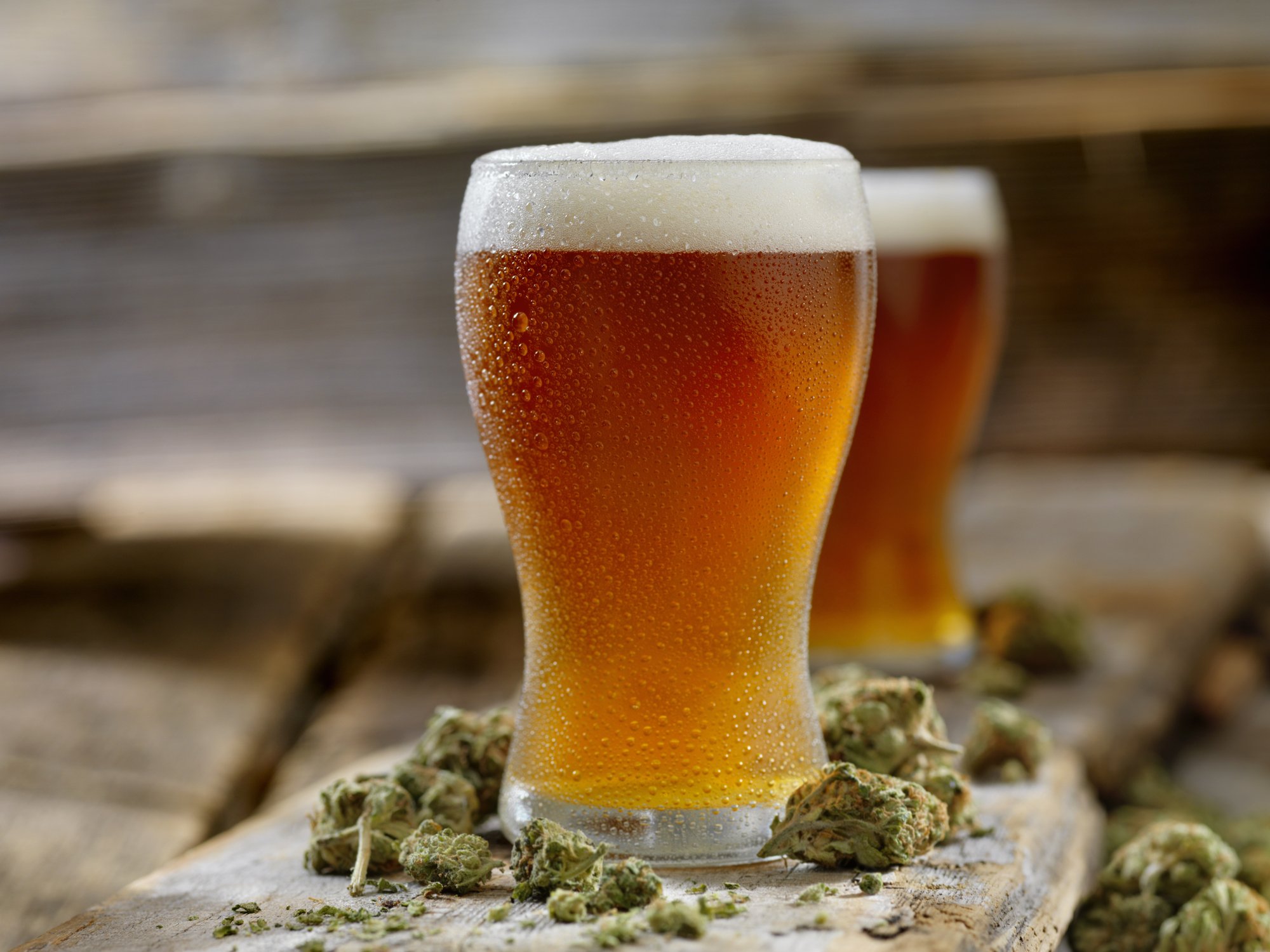 O que são cervejas terpenadas e qual o "barato" delas?