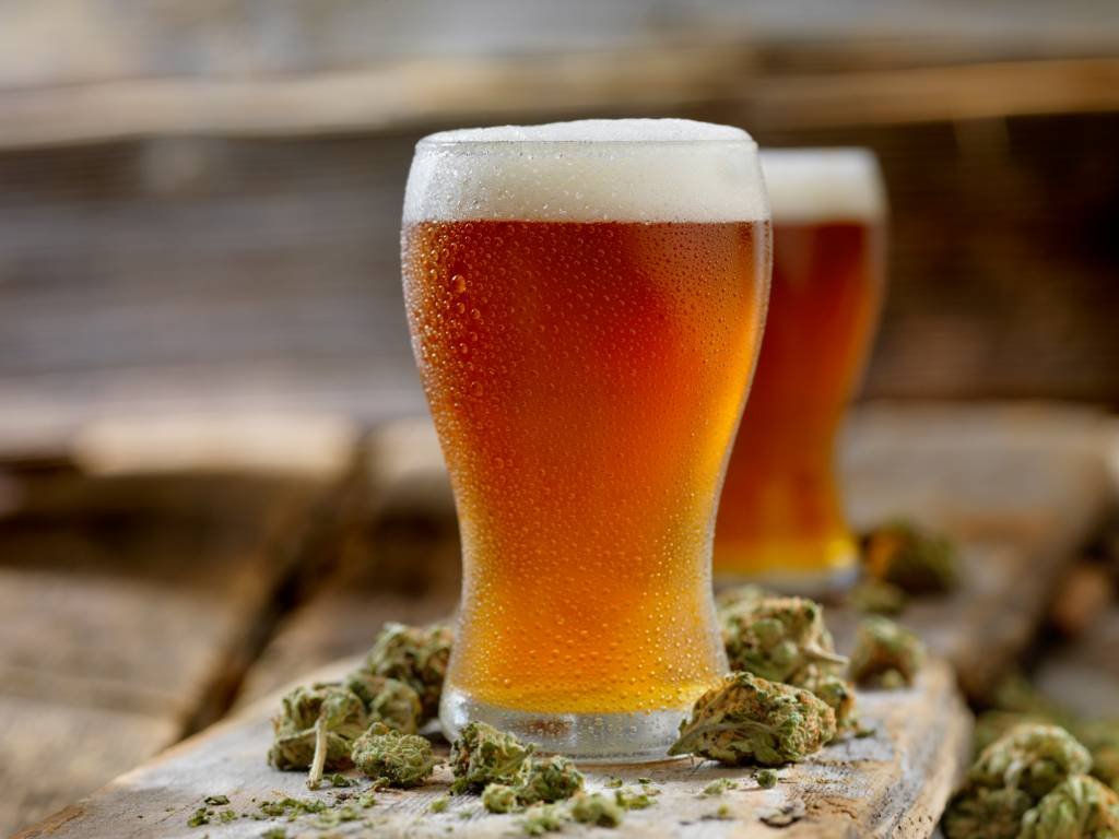 Amber Ale infusionada com canabis. (Lauri Patterson/Getty Images)