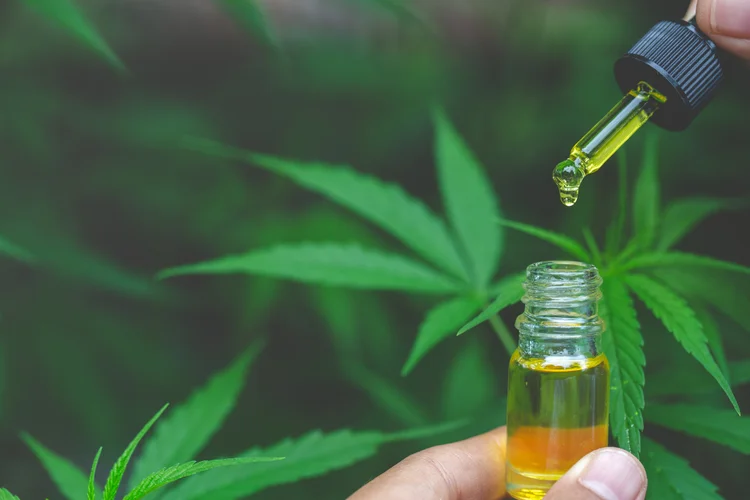 CBD da HempMeds: marca quer a democratização do acesso ao derivado de cannabis (Tinnakorn Jorruang / EyeEm/Getty Images)