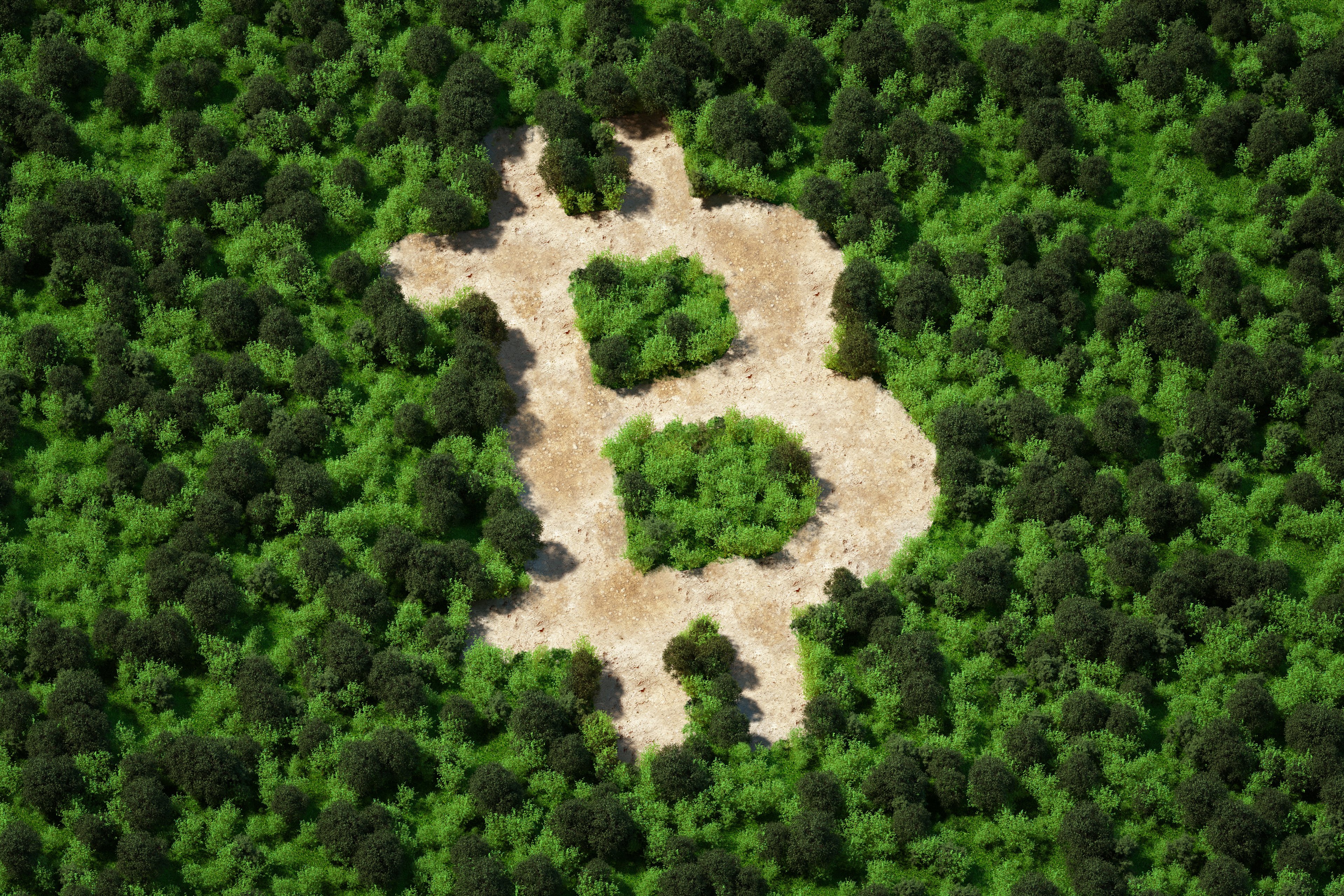 Gigantes de Wall Street "financiam a poluição do bitcoin", diz Greenpeace