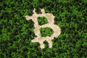 Imagem referente à matéria: Gigantes de Wall Street "financiam a poluição do bitcoin", diz Greenpeace