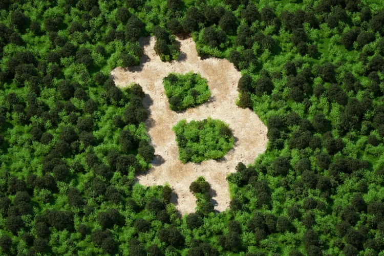 Digital generated image of top view of forest cut in shape of bitcoin sign. Deforestation and resource waste concept. (Getty Images/Reprodução)