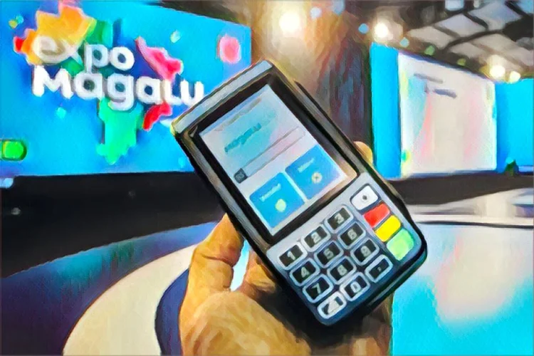 Magalu: diversificação é chave para continuar crescendo no e-commerce (Magazine Luiza/Divulgação)