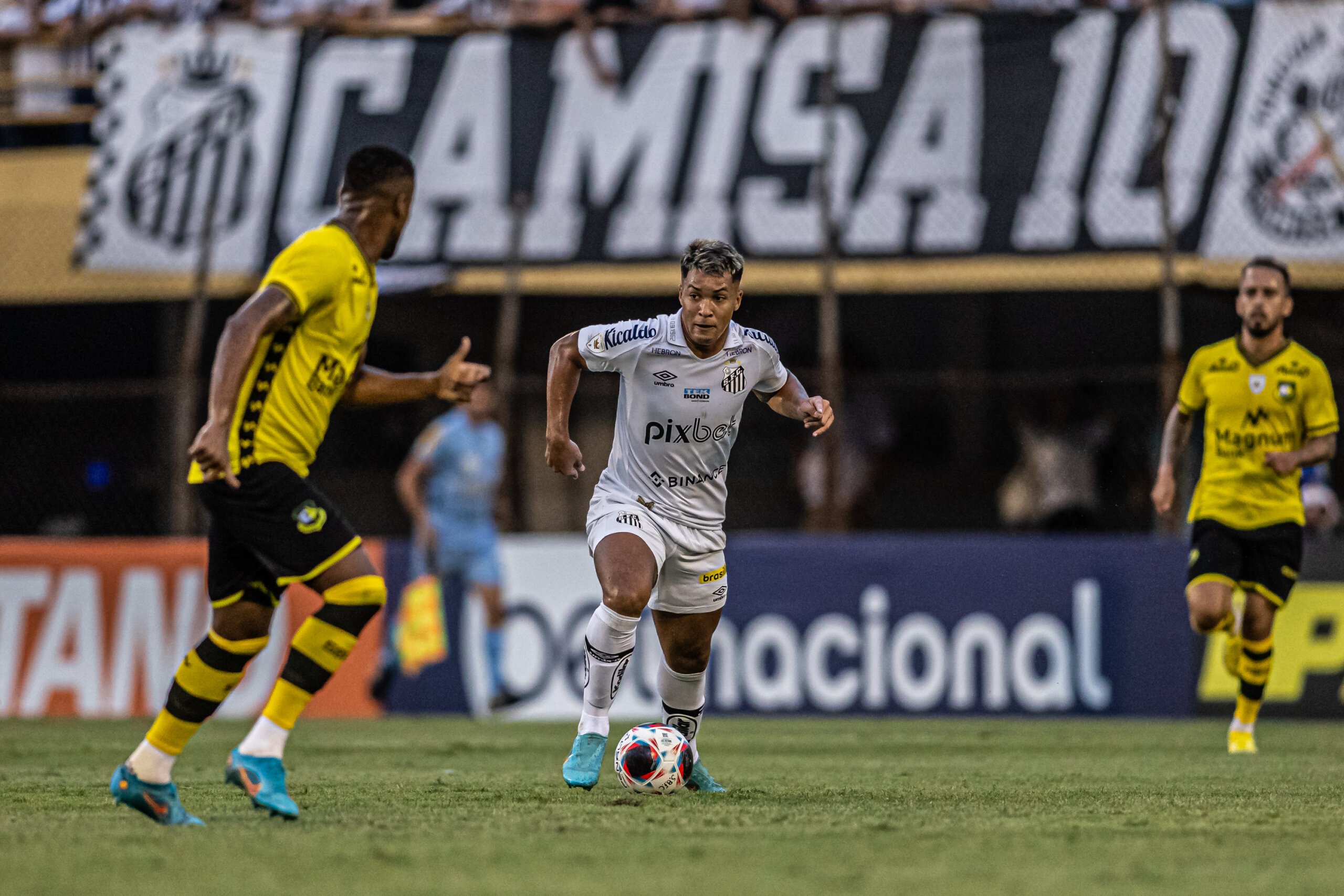 Santos X Audax Italiano Hoje; Veja Horário E Onde Assistir Ao Vivo | Exame