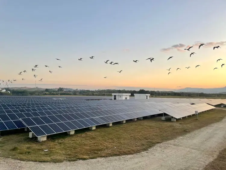 Prospera: companhia conta com placas solares de concessões da EDP Brasil em Cruzeiro (Prospera/Reprodução)