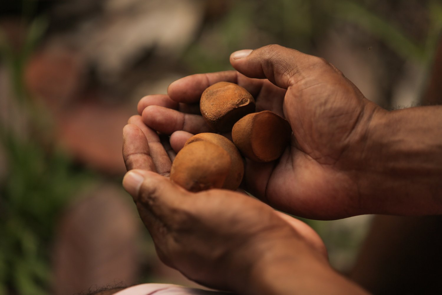 Extrativistas querem que produtos tenham chancela de povo amazônico