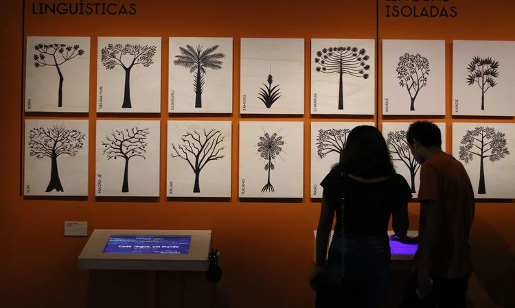 Museu da Língua Portuguesa. (Rovena Rosa/Divulgação)