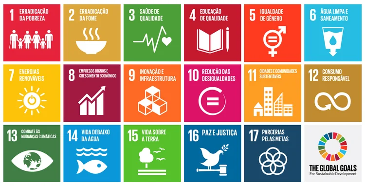 As ODS devem orientar ações para alcançar resultados até 2030 (ONU/Reprodução)