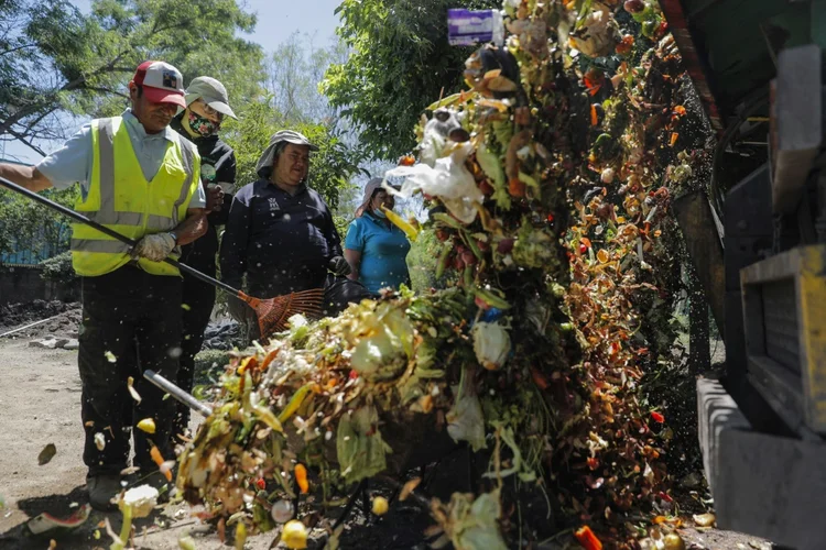 Os vegetais não são os únicos que recebem uma segunda chance neste bairro (Axl HERNANDEZ/AFP Photo)