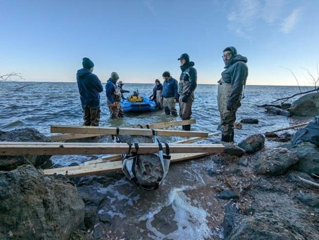 Crânio fóssil de baleia de 12 milhões de anos é encontrado na costa leste dos EUA