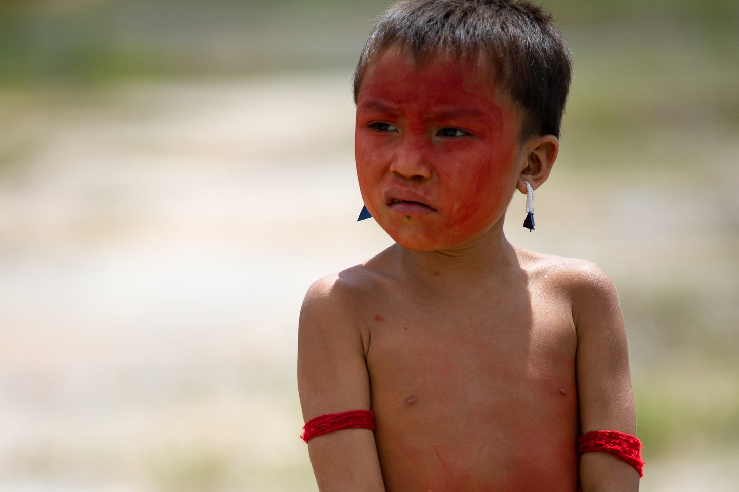 Yanomami: os agentes e fatores que causaram o colapso socioeconômico na Terra Indígena