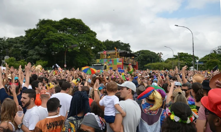 Carnaval: blocos vão tomar as ruas da capital até terça-feira (Rovena Rosa/Agência Brasil)