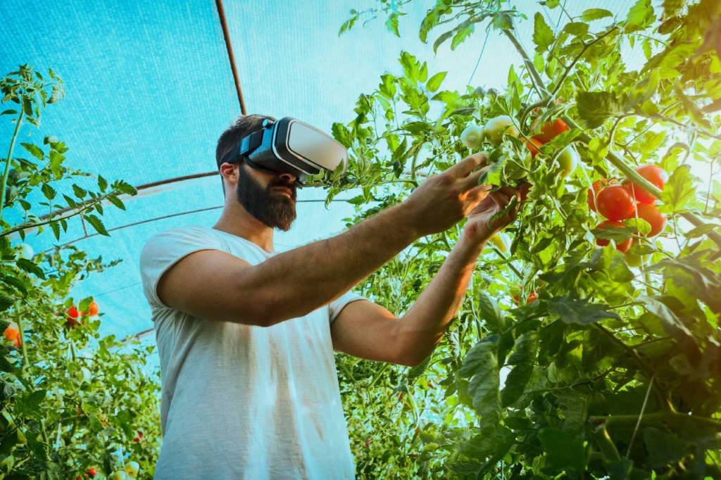 Realidade aumentada: tecnologia é aliada do agronegócio. (Nastasic/Getty Images)
