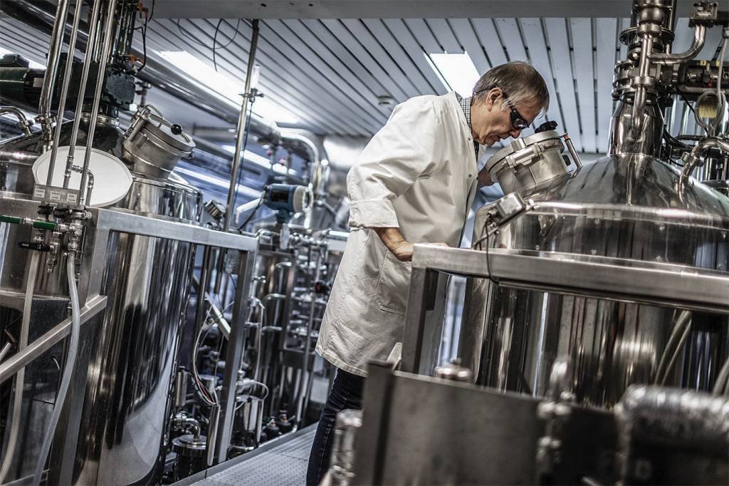 Cerveja gelada, planeta quente: como a Carlsberg tem lidado com as mudanças climáticas