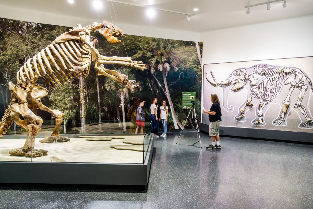 Florida, Daytona Beach, Giant Ground Sloth skeleton