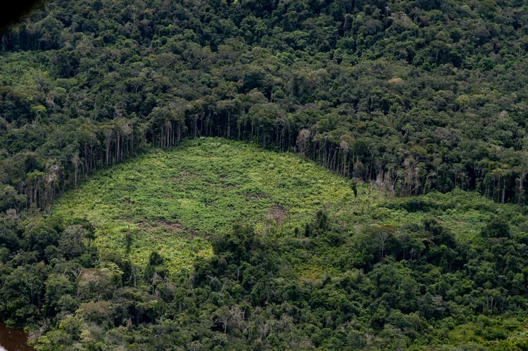 Durante a ação, foram apreendidos ainda três embarcações, duas armas de fogo e 5 mil litros de combustível que são usados para mover o maquinário que extrai os minérios do solo amazônico (Andressa Anholete/Getty Images)