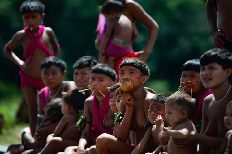 Povos Indígenas: crime afeta o acesso de povos Yanomamis a medicamentos e recursos essenciais (Andressa Anholete/Getty Images)