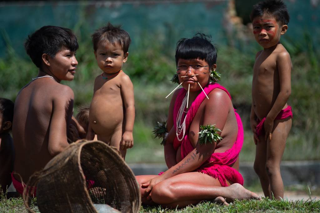 Mortes e desnutrição de crianças e adultos Yanomamis mobilizam estudantes paulistas por doações (Andressa Anholete/Getty Images)